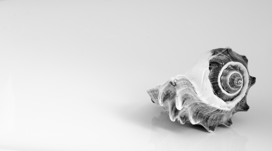 Photography by cheeserogue for DesignCrowd (Community Contests) | Design #9009484