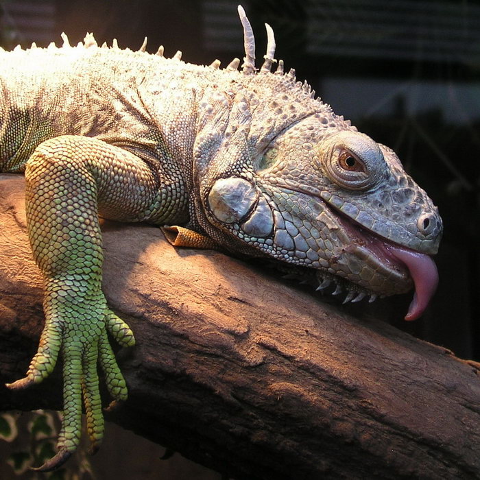 Photography by mzmzmzmz for DesignCrowd (Community Contests) | Design #9013064