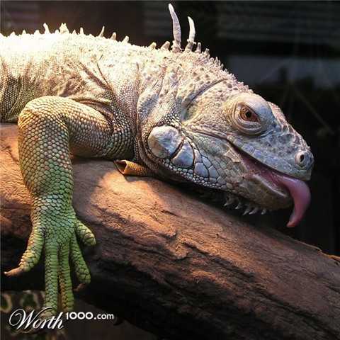 Photography by mzmzmzmz