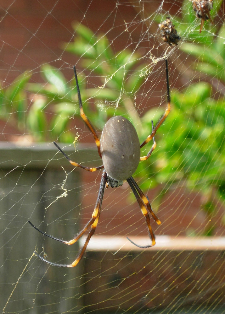 Photography by ThisisntGraham for DesignCrowd (Community Contests) | Design #9004829