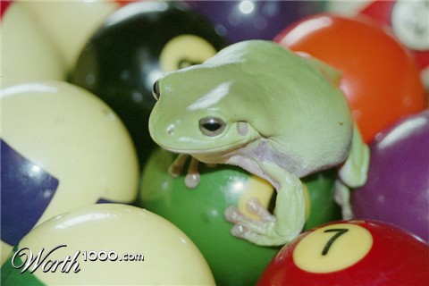 Photography by blueberr59