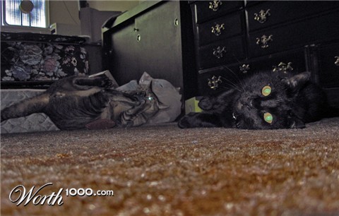 Photography by caribouranch