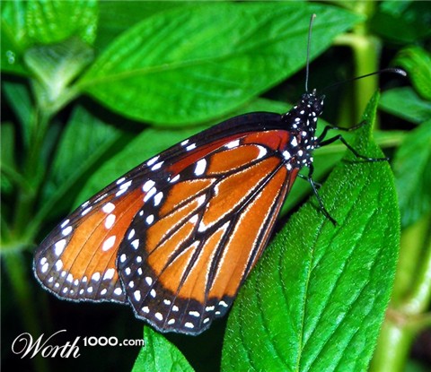 Photography by timpeeler37