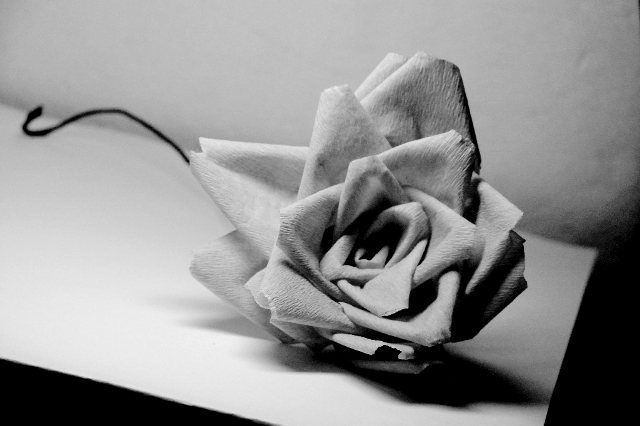 Fotografie von sebasfournier für DesignCrowd (Community Contests) | Design #9009595