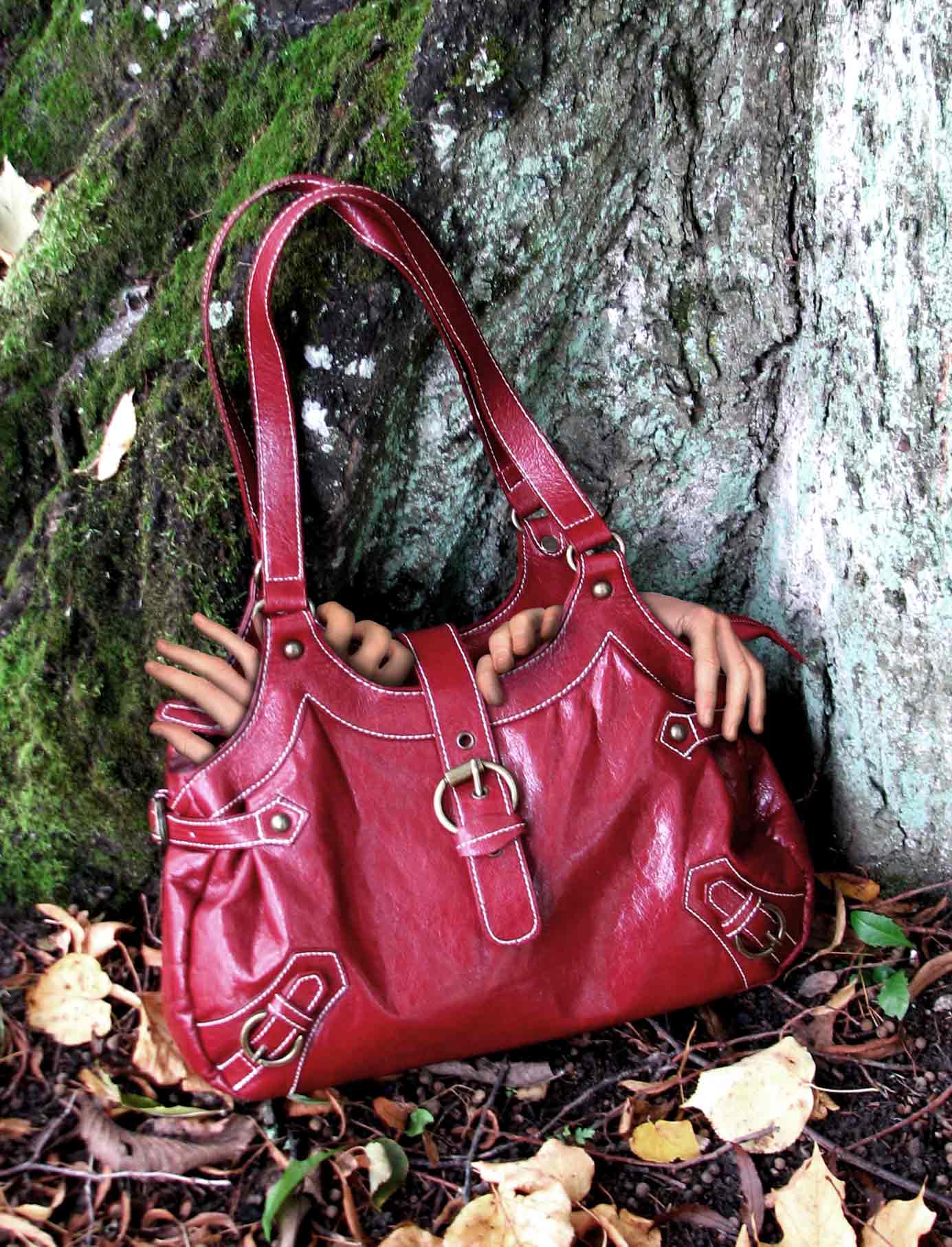 Diseño de Photoshop por anacist para DesignCrowd (Community Contests) | Diseño #9010413