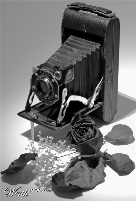 Photography by blueoffline