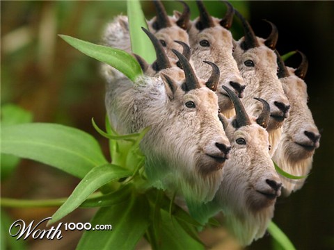 Photoshop Design by Deborahb