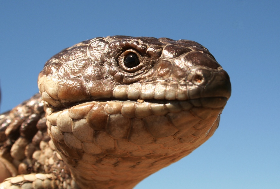 Photography by Fathom for DesignCrowd (Community Contests) | Design #9013077