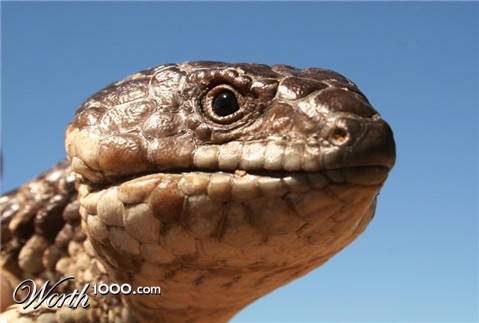 Photography by Fathom