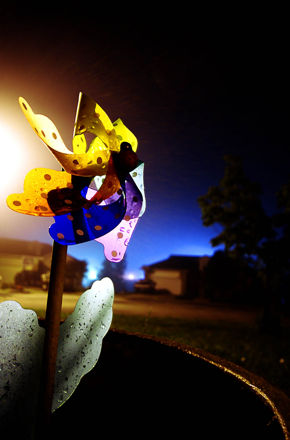 Photography by Stonerp18 for DesignCrowd (Community Contests) | Design #9007049