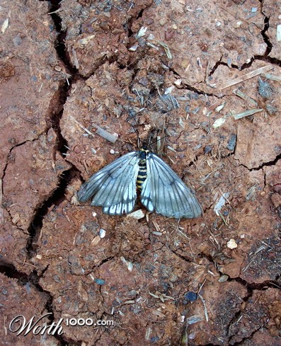 Photography by drewciferpics