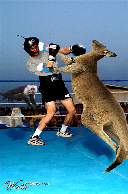 Photoshop Design by potters