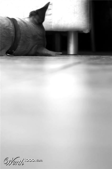 Photography by damas100