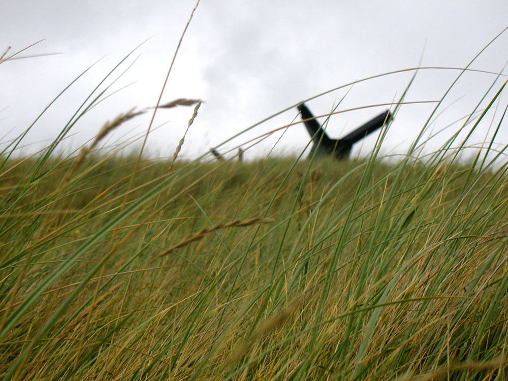 Photography by Artifakts for DesignCrowd (Community Contests) | Design #9004834