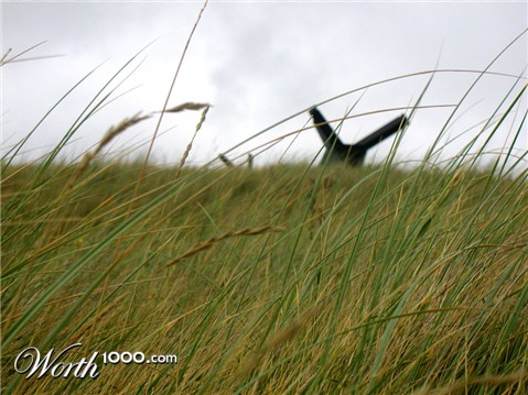 Photography by Artifakts