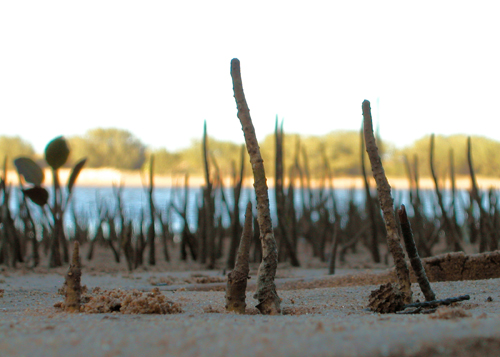 Photographie par dazza17 pour DesignCrowd (Community Contests) | Design #9004755