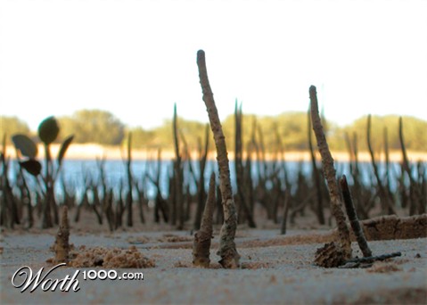 Photography by dazza17