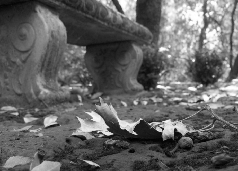 Photography by crattay21cuc for DesignCrowd (Community Contests) | Design #9004809