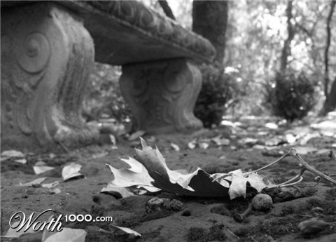 Photography by crattay21cuc