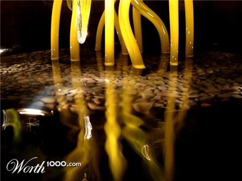 Photography by StarsView