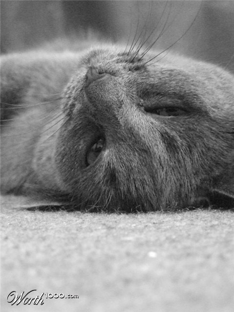 Photography by gwyfer