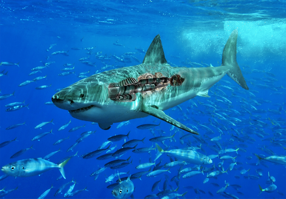 Photoshop Design by mibj2000 for DesignCrowd (Community Contests) | Design #9010304