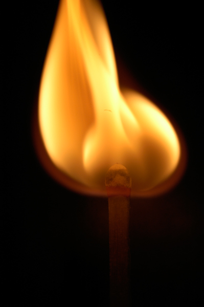 Photography by rrg239 for DesignCrowd (Community Contests) | Design #9002609