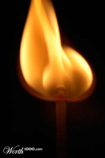 Photography by rrg239