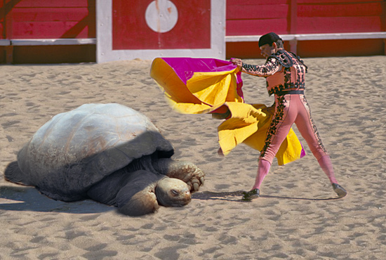 Design Photoshop par Devastate pour DesignCrowd (Community Contests) | Design #9007496