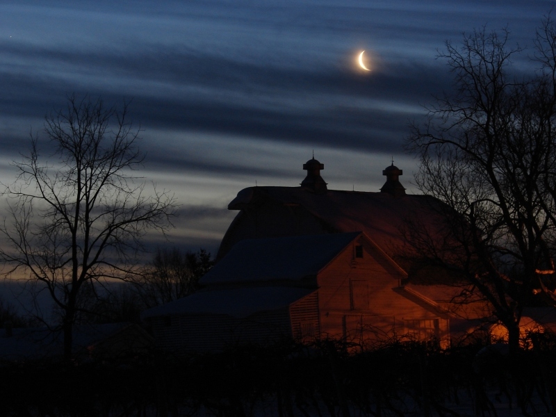 Fotografía por Milkbeard para DesignCrowd (Community Contests) | Diseño #9007098