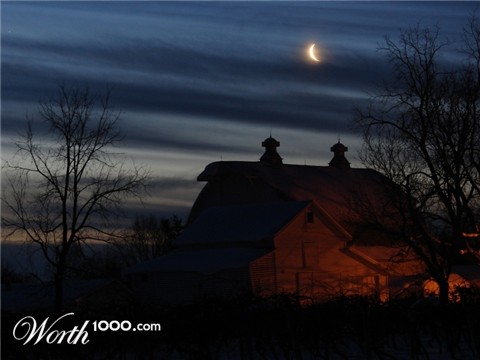 Photography by Milkbeard