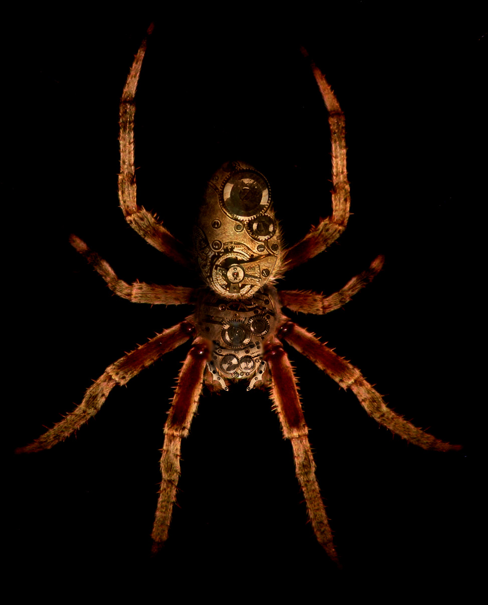 Photoshop Design by spixiana for DesignCrowd (Community Contests) | Design #9010312