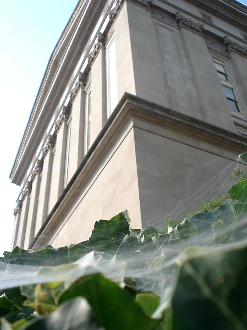 Photography by StarsView for DesignCrowd (Community Contests) | Design #9004875