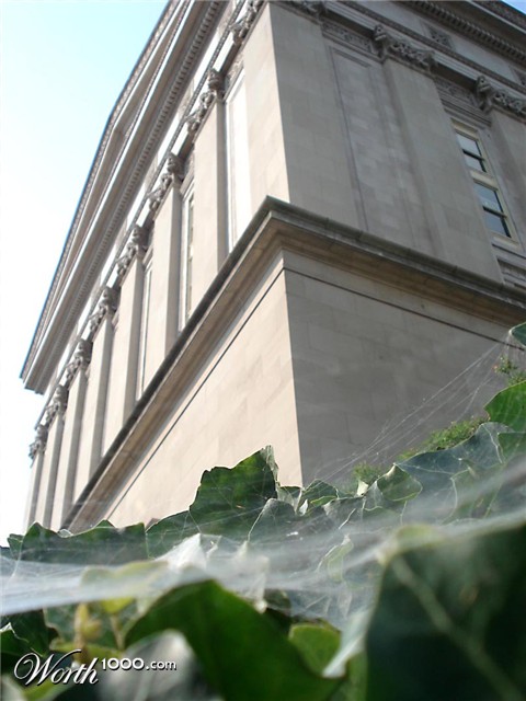 Photography by StarsView