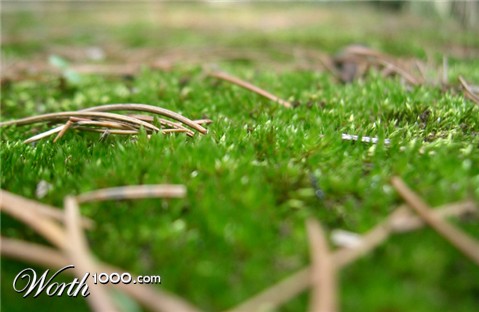 Photography by lokpal007