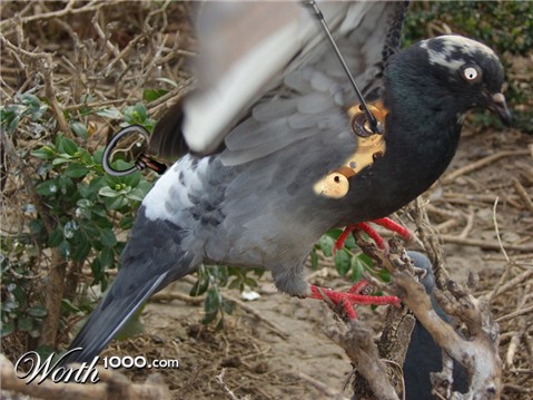 Photoshop Design by Skriket