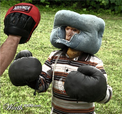 Photoshop Design by carlosnumbertwo