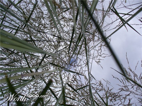 Photography by xthina