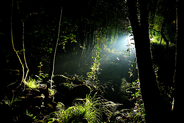 Fotografía por alicina para DesignCrowd (Community Contests) | Diseño #9007100