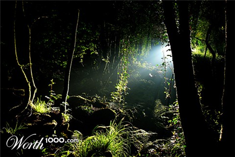 Photography by alicina