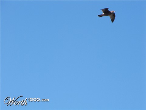 Photography by nzkiwi