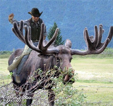 Photoshop Design by rowdyman81