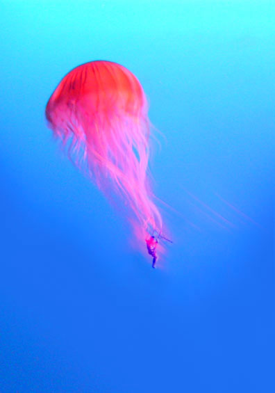 Diseño de Photoshop por masterpiece para DesignCrowd (Community Contests) | Diseño #9007670