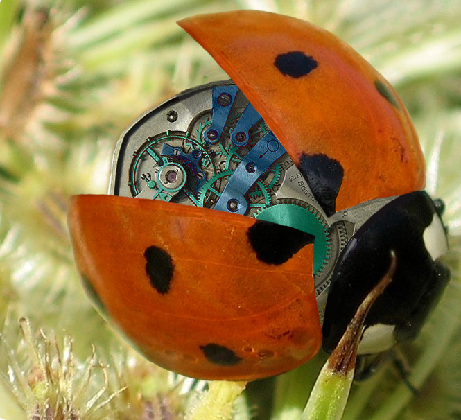 Photoshop Design by carpenter940 for DesignCrowd (Community Contests) | Design #9010319