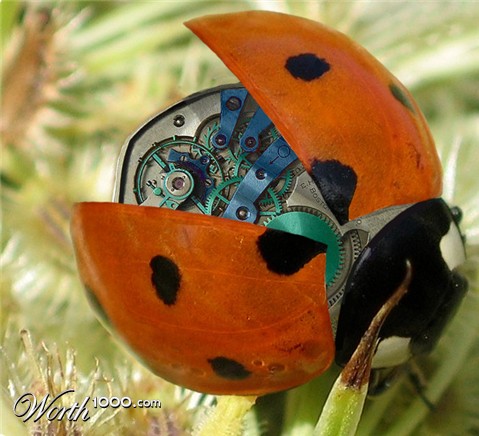 Photoshop Design by carpenter940