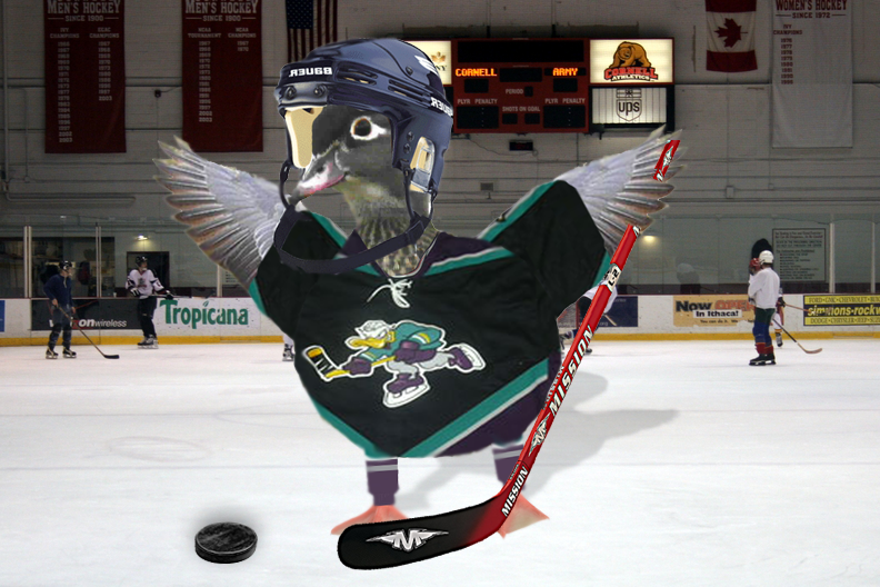 Diseño de Photoshop por MalibuxoRain para DesignCrowd (Community Contests) | Diseño #9007590