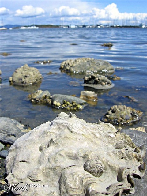 Photography by MissMea