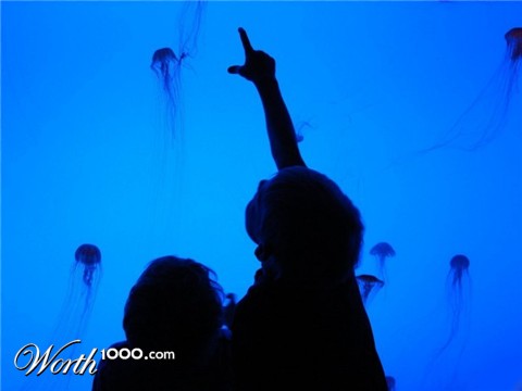 Photography by Penycat