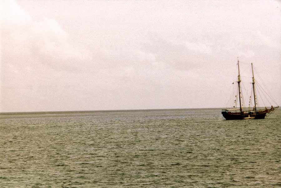 Photography by blueberr59 for DesignCrowd (Community Contests) | Design #9002632