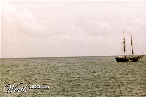 Photography by blueberr59